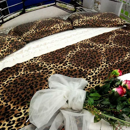 New Emotion トリエステ