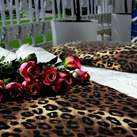 New Emotion ゲストハウス トリエステ