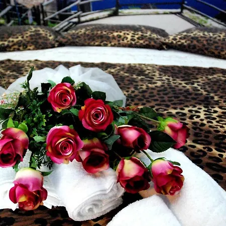 ゲストハウス New Emotion トリエステ