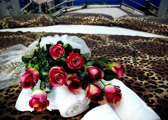 Gasthuis New Emotion Triëst